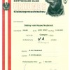 28 Austrian Klubsiegerin 20